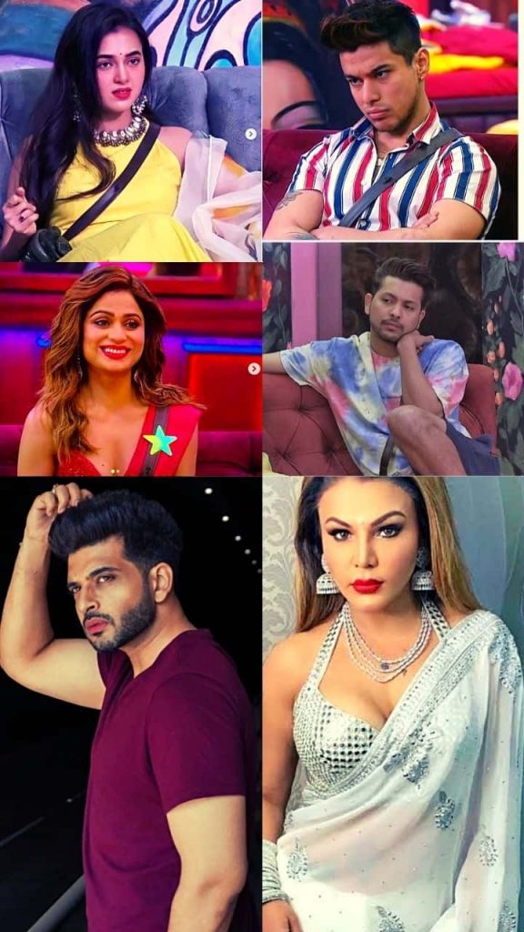 Big boss15 Finalist List