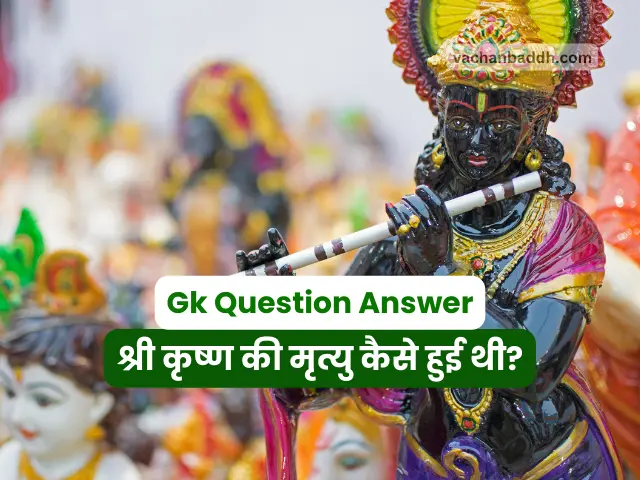 general knowledge questions