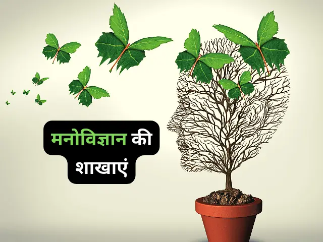 मनोविज्ञान की शाखाएं (Branches of Psychology)