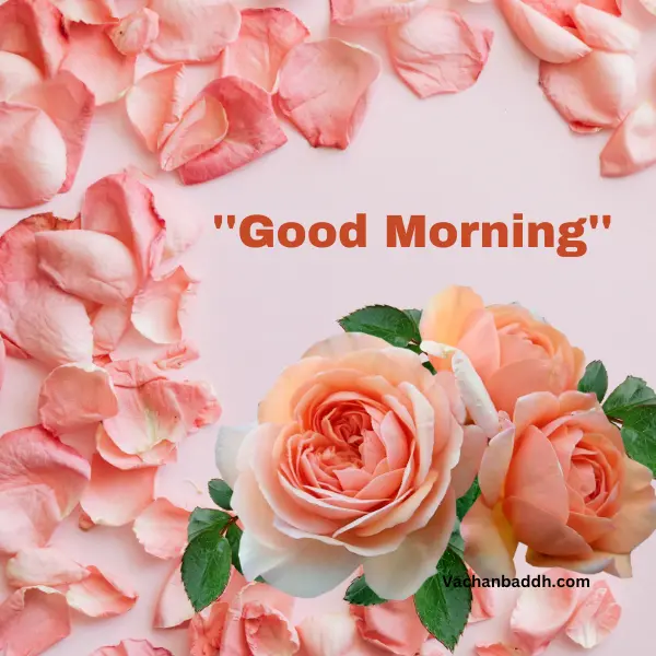 good morning yellow rose images